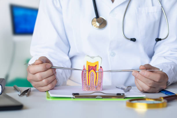 Best Same-Day Emergency Dentist in Middletown, VA